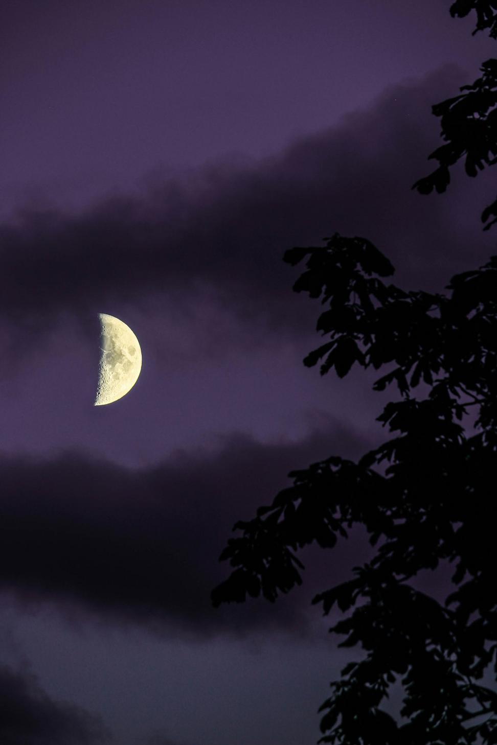 Shadowvorn Realm Castle